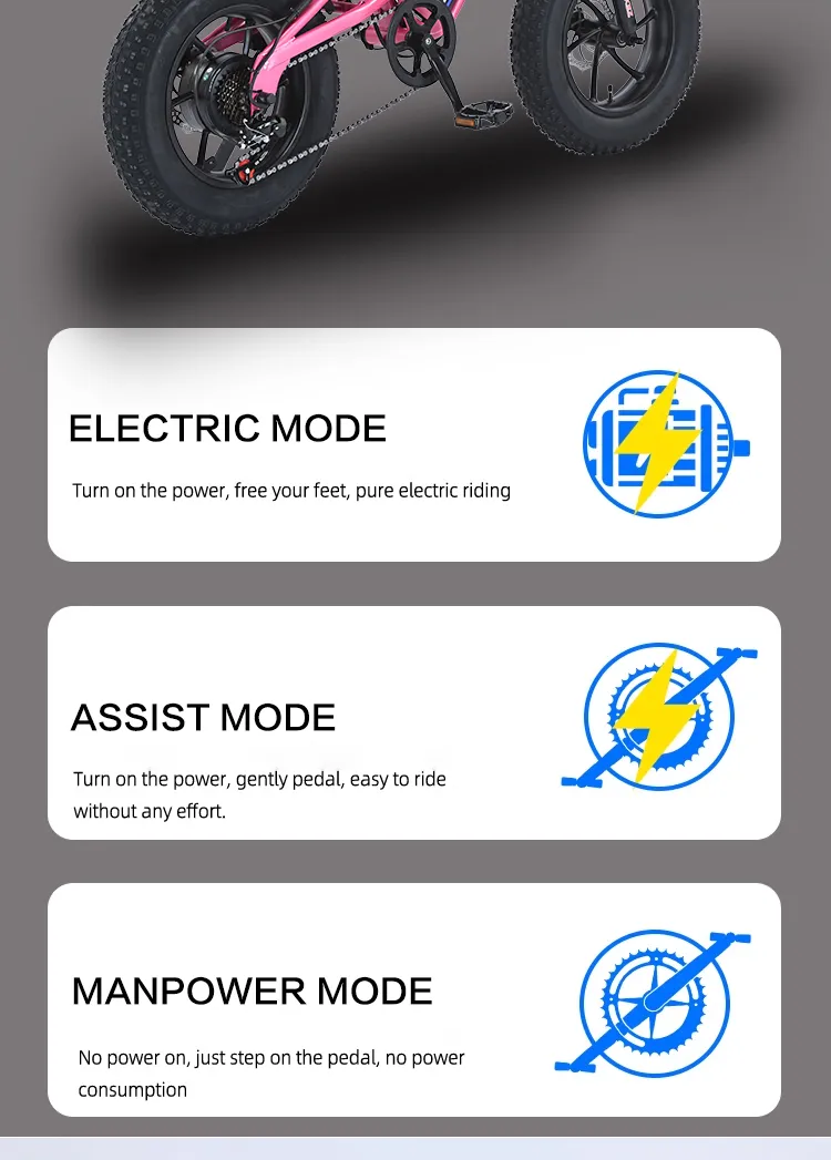 Electric Bike Quality