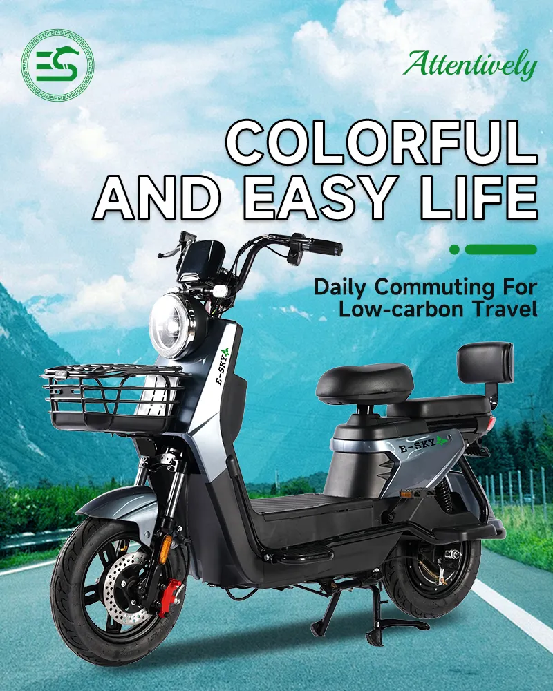 Electric Scooter Front View