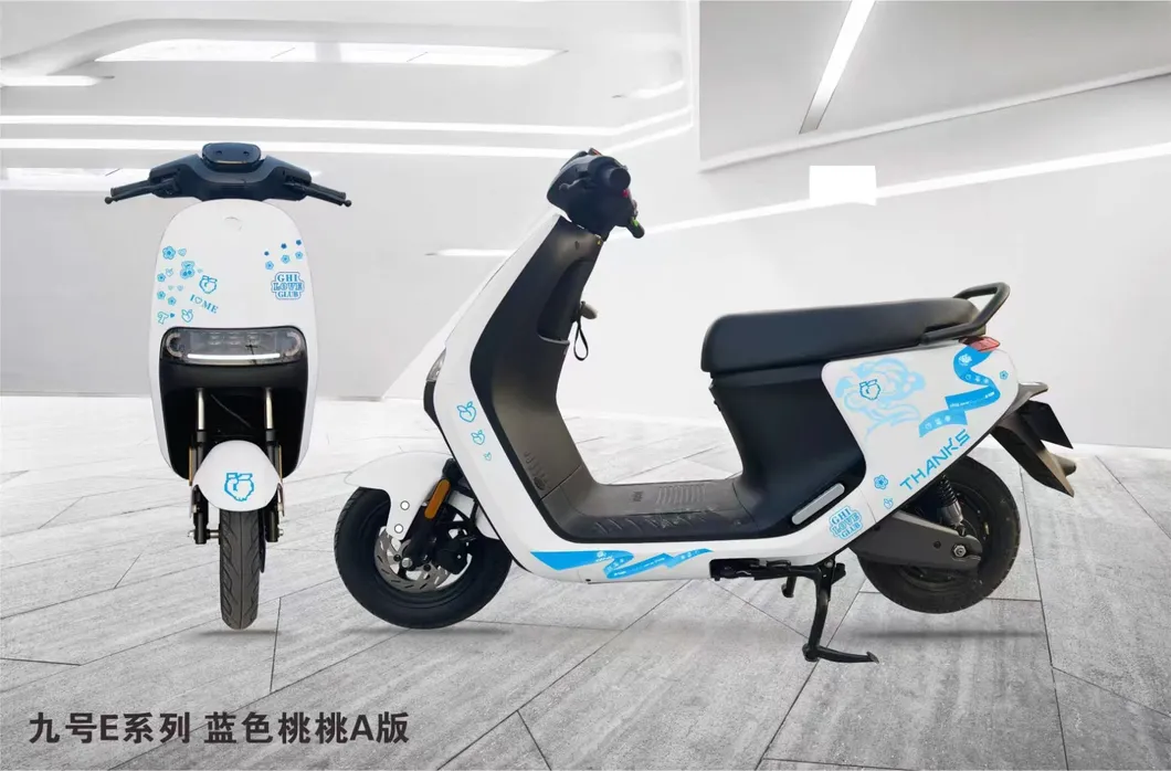 Electric Motorcycle Detail