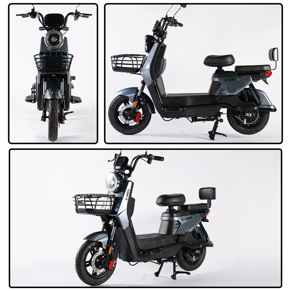CE Certification New Self Electric Scooter Folding for Adult Kids China Ebm