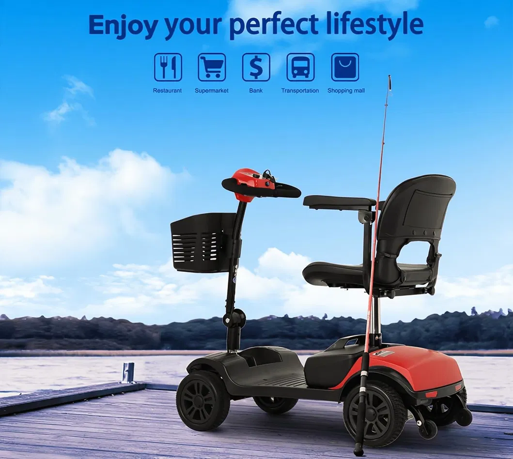 Electric Mobility Scooter