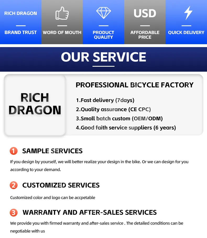 Electric Bike for Kids 1