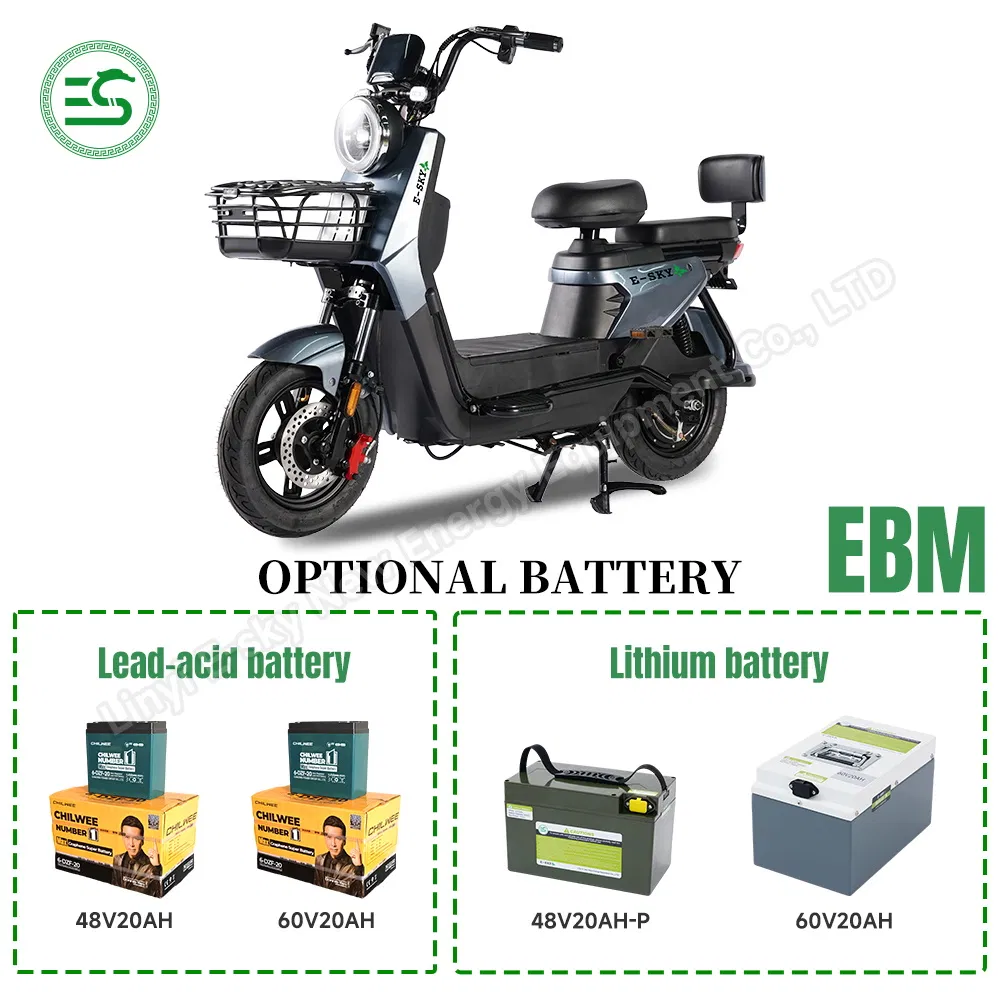 CE Certification New Self Electric Scooter Folding for Adult Kids China Ebm