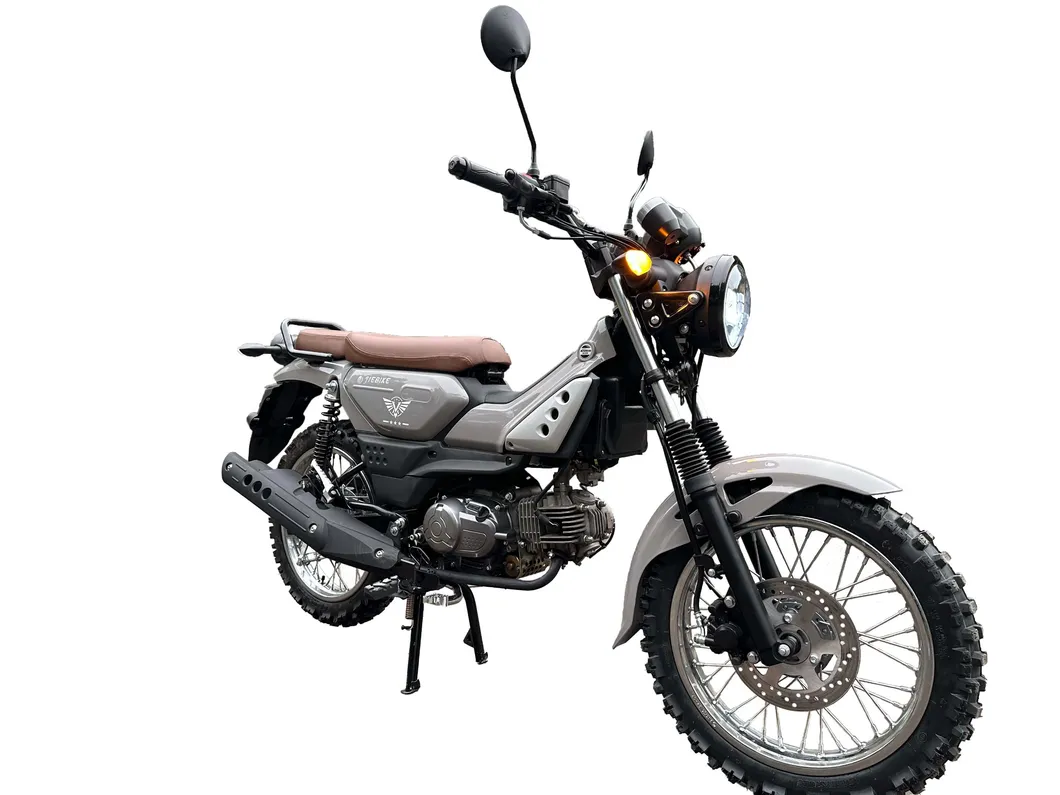 Motorcycle Side View