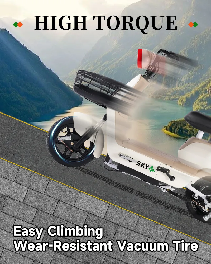 Electric Scooter Display 3