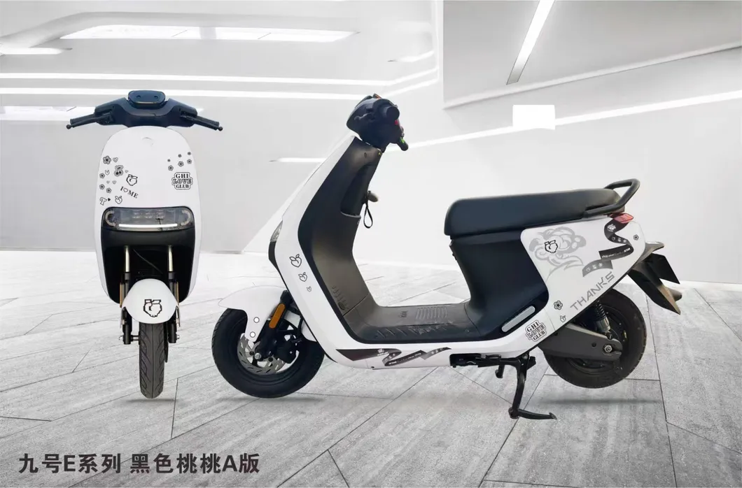 Electric Motorcycle Front View