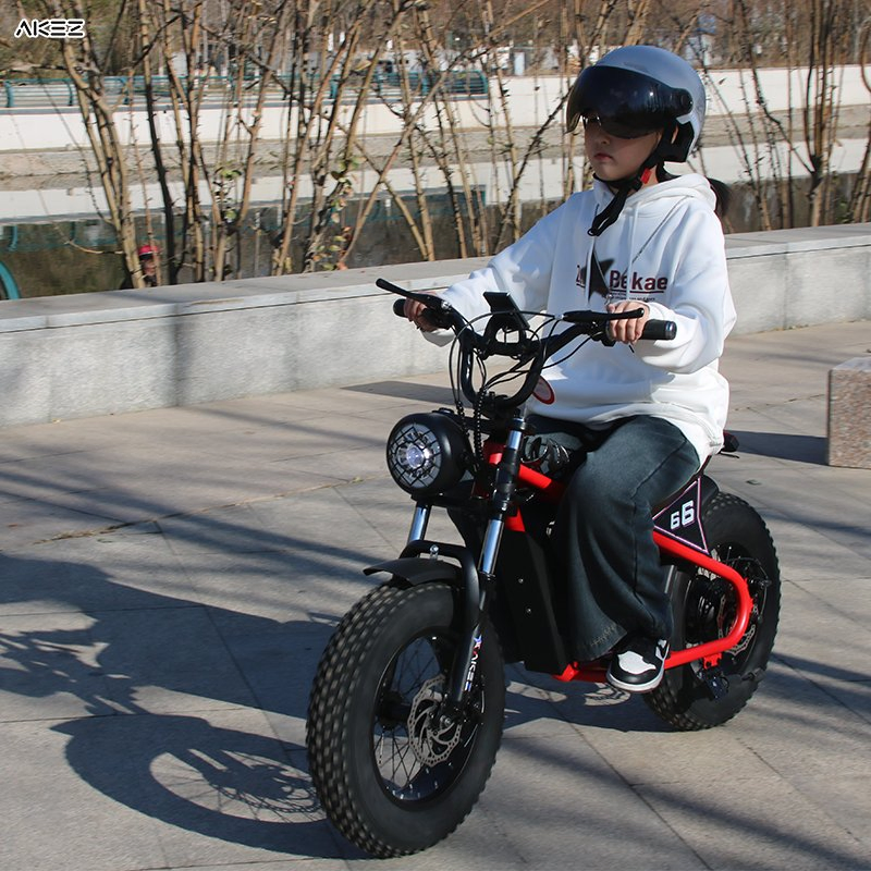 Akez 2025 16-Inch Kids Fat Tire Electric Bike, 36V 350W 15ah