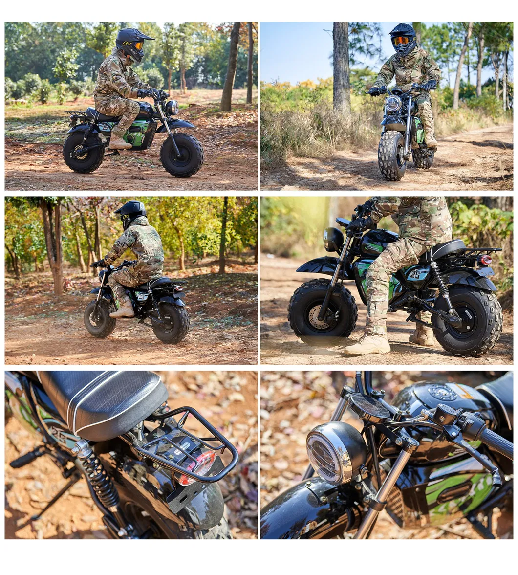 Electric Motorcycle Detail