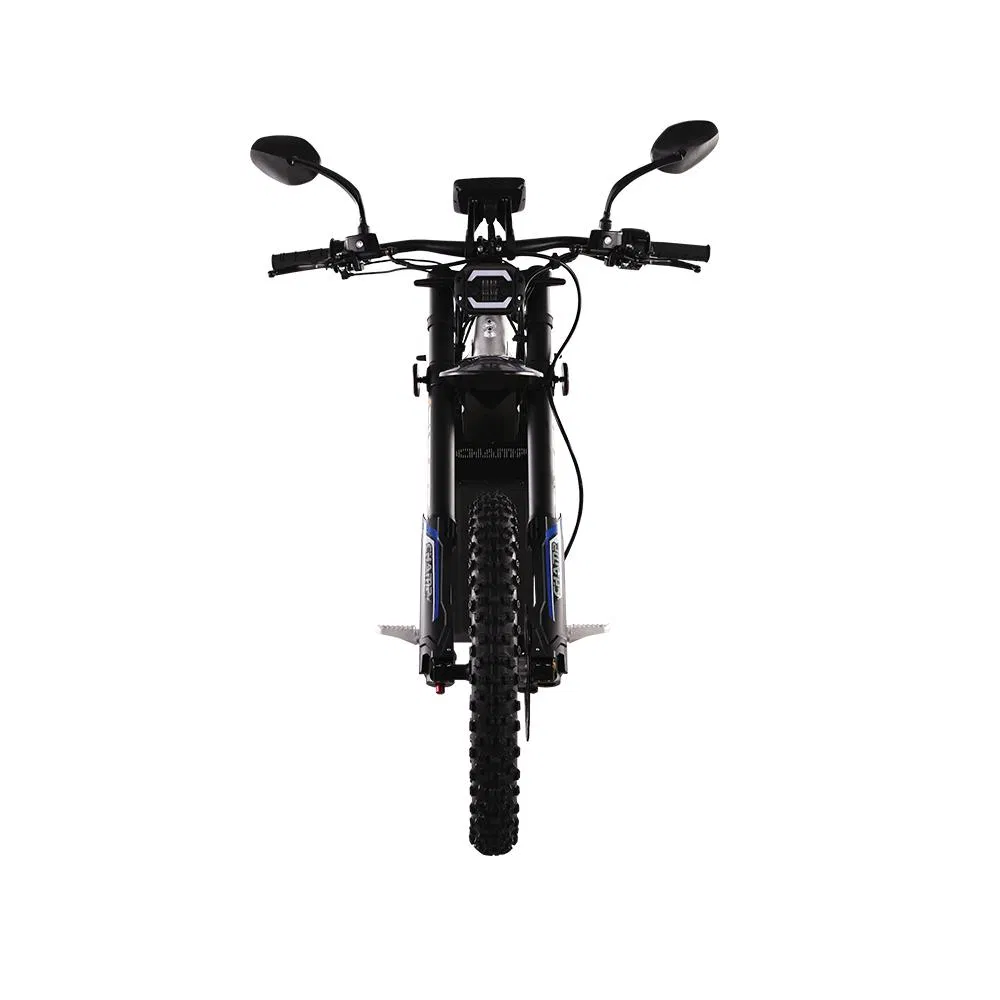 Champ 2024 Hot Selling off Road Motorcycle High Speed 6000W Surr Ron Electric Motor OEM Electric Dirt Bike for Kids