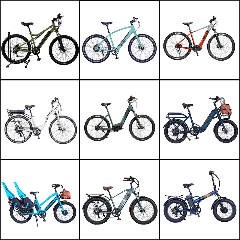 Other Electric Bike Models