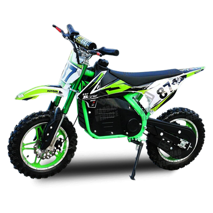 Mini Electric Dirt Bike 36V 800W Quad Bikes for Kids