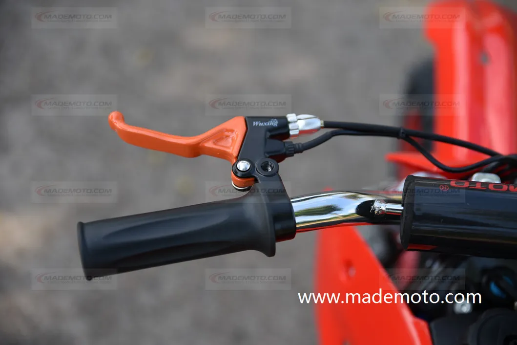 Electric Dirt Bike 1