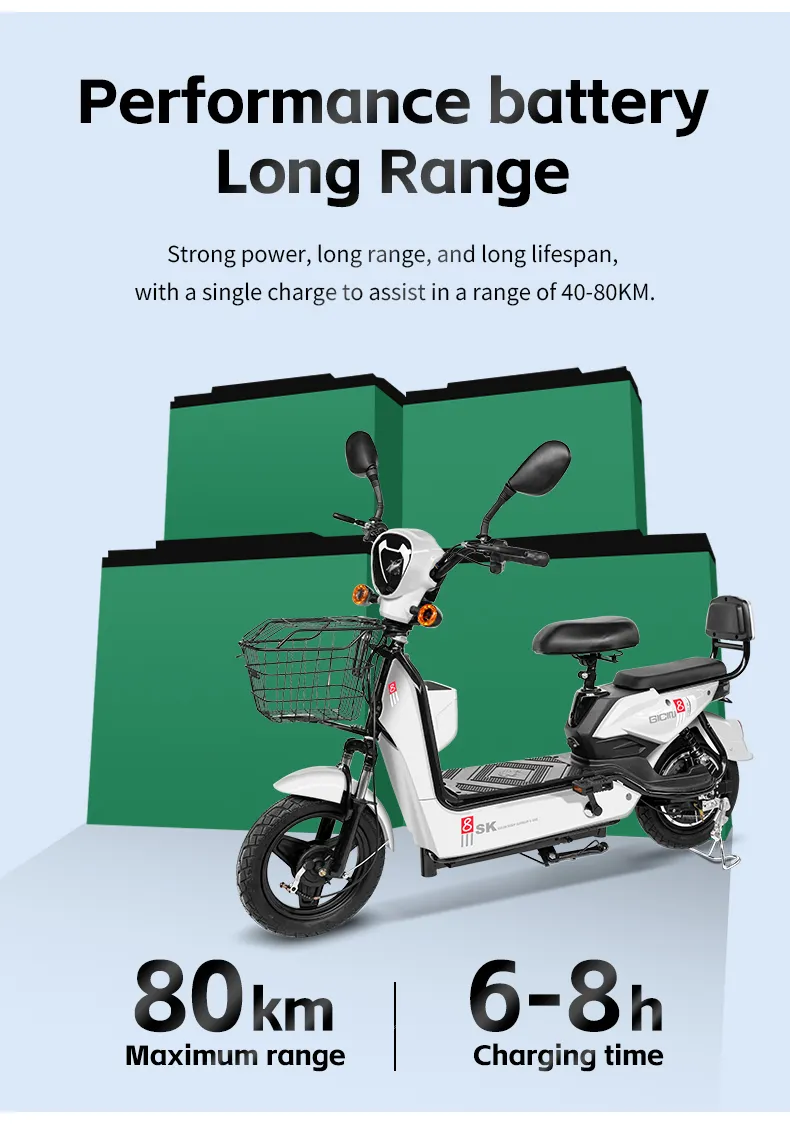 Electric Bike for Kids 5