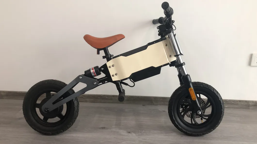 Ebike View 13