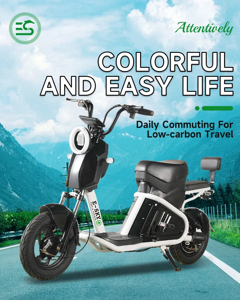 Electric Bicycle Display 1