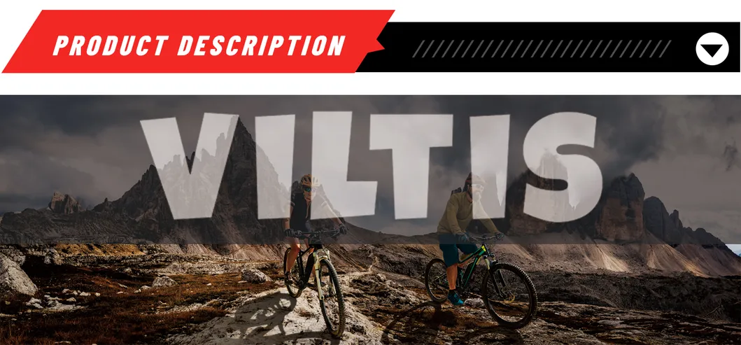 Children Electric Scooter