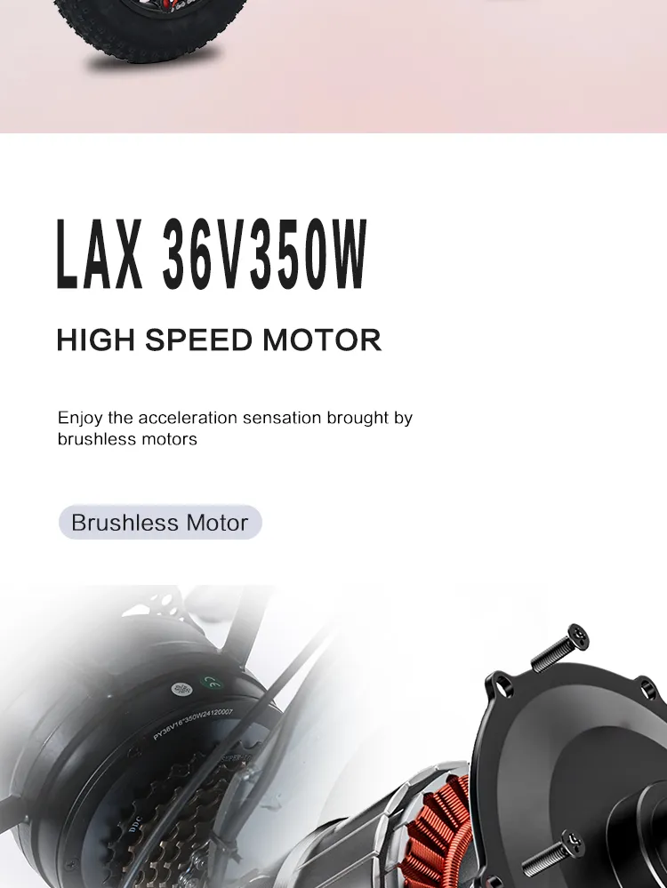 Electric Bike Battery System