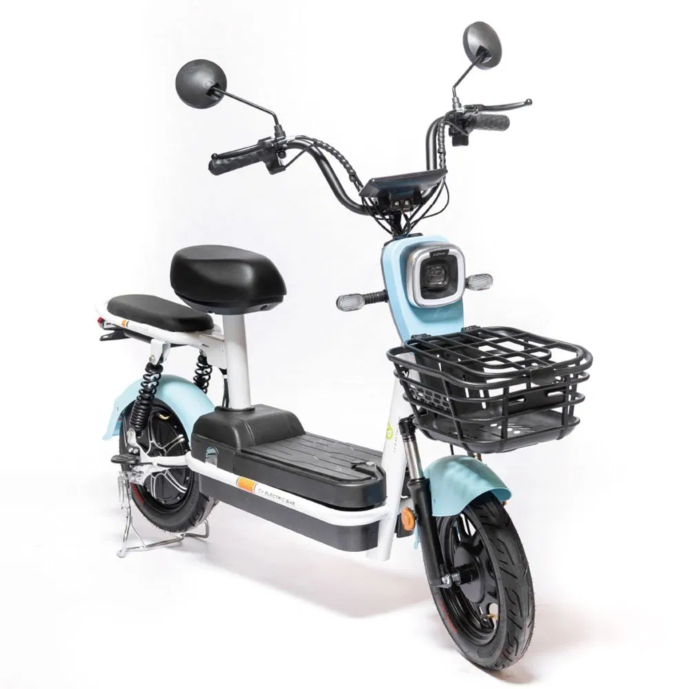 Electric Bike View 2