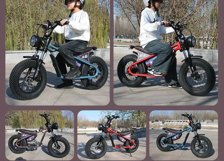 Electric Bike Component