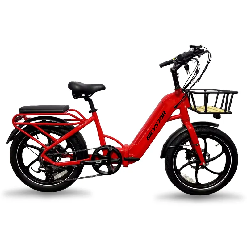 Electric Cargo Bike Overview