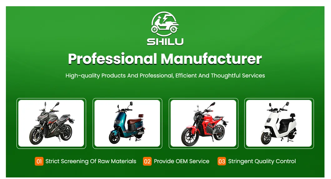 Electric Motorcycle Overview