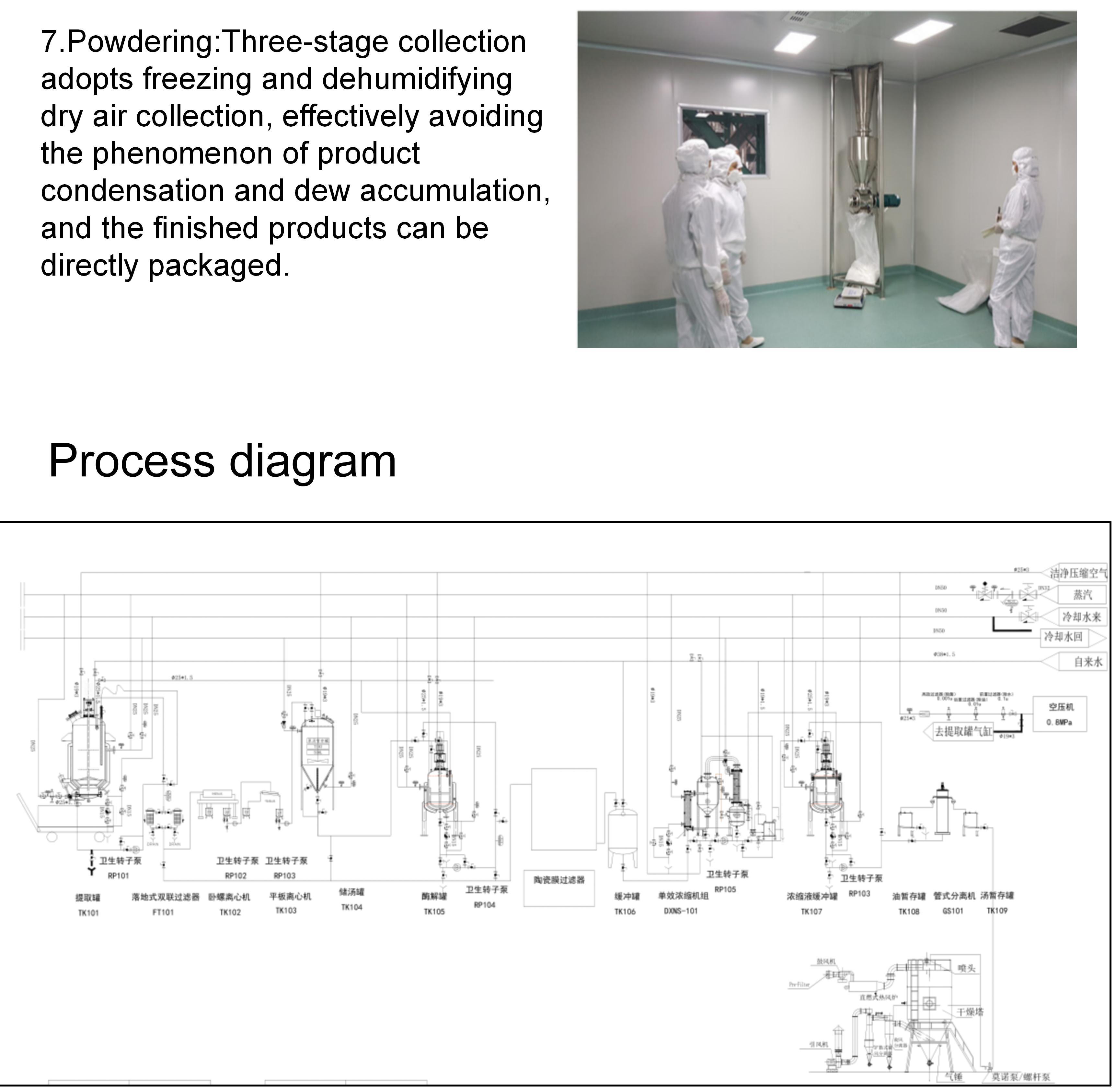 Process 4