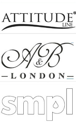 Partner Logo 3