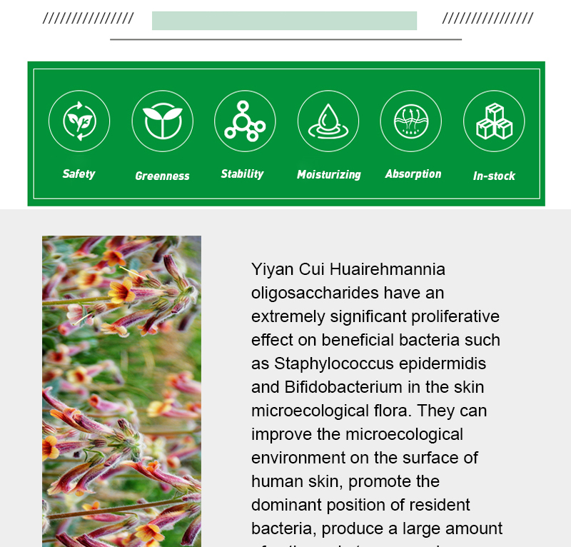 REHMANNIA CHINENSIS Root Plant Extract