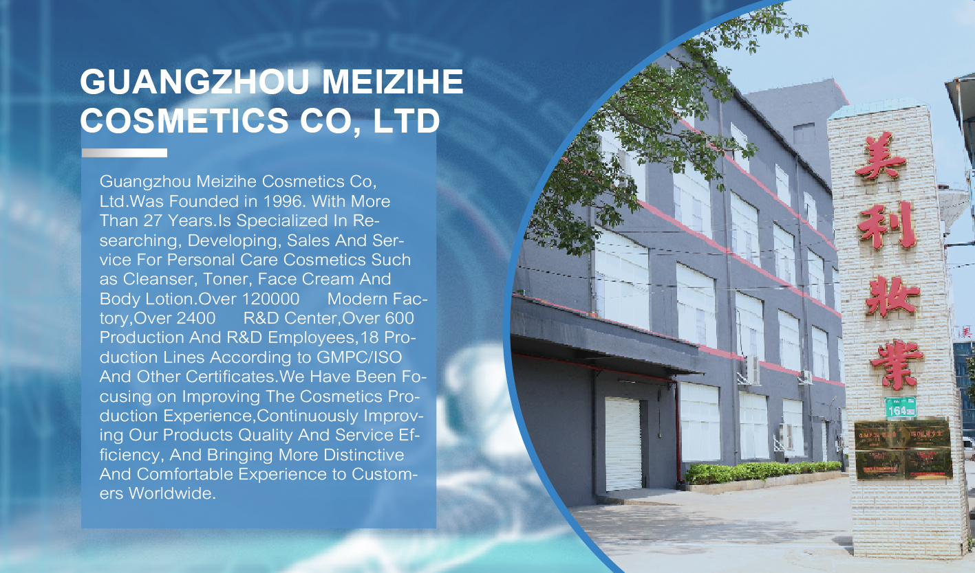 Company overview