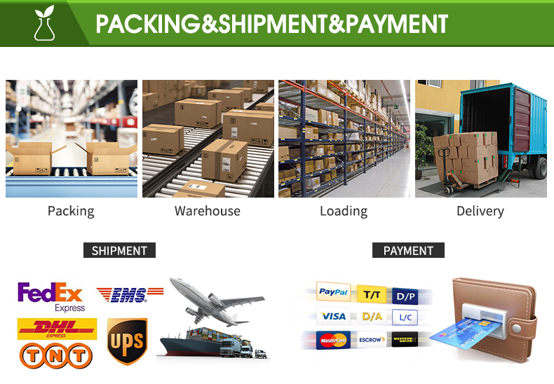 Logistics