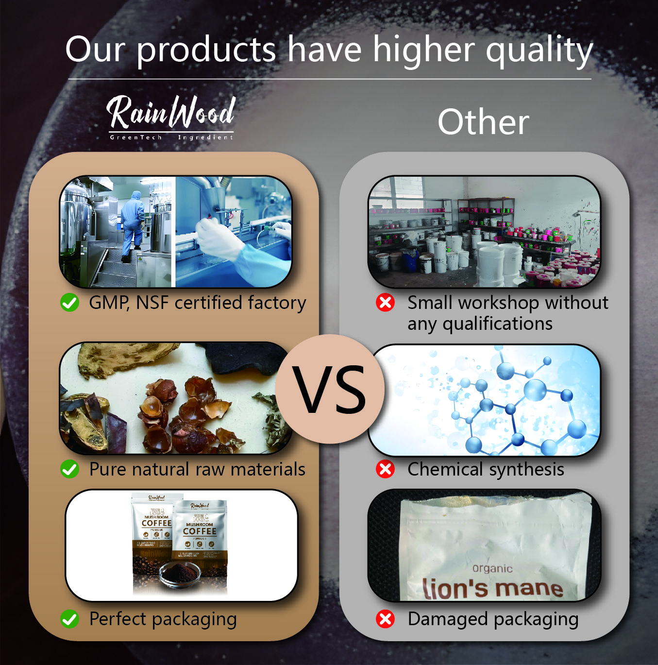 Rainwood Private Label Collagen Beauty Sachets with HA Vitamin C Skin Hydration Support