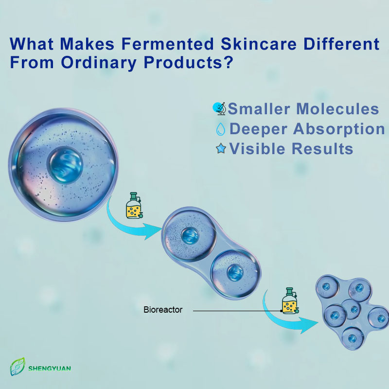 Custom Private Label Fermented Skincare Blue Copper Peptide Cleansing Foam Wholesale High-End Cosmetics Manufacturer OEM ODM