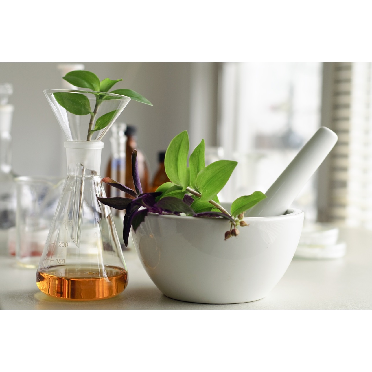 European Private Label Manufacturer Custom Formula Development and Personalized Skincare Solutions for Makeup Products