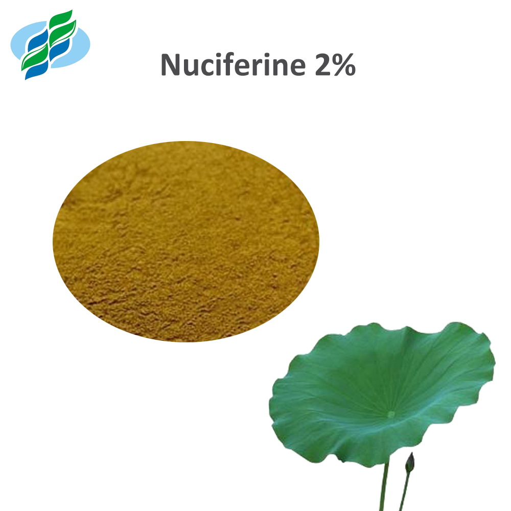 Lotus Leaf Extract Nuciferine 2% Natural Plant Extract Manufacturer Direct Supply