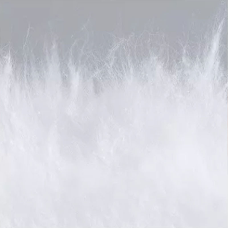 100% Cotton