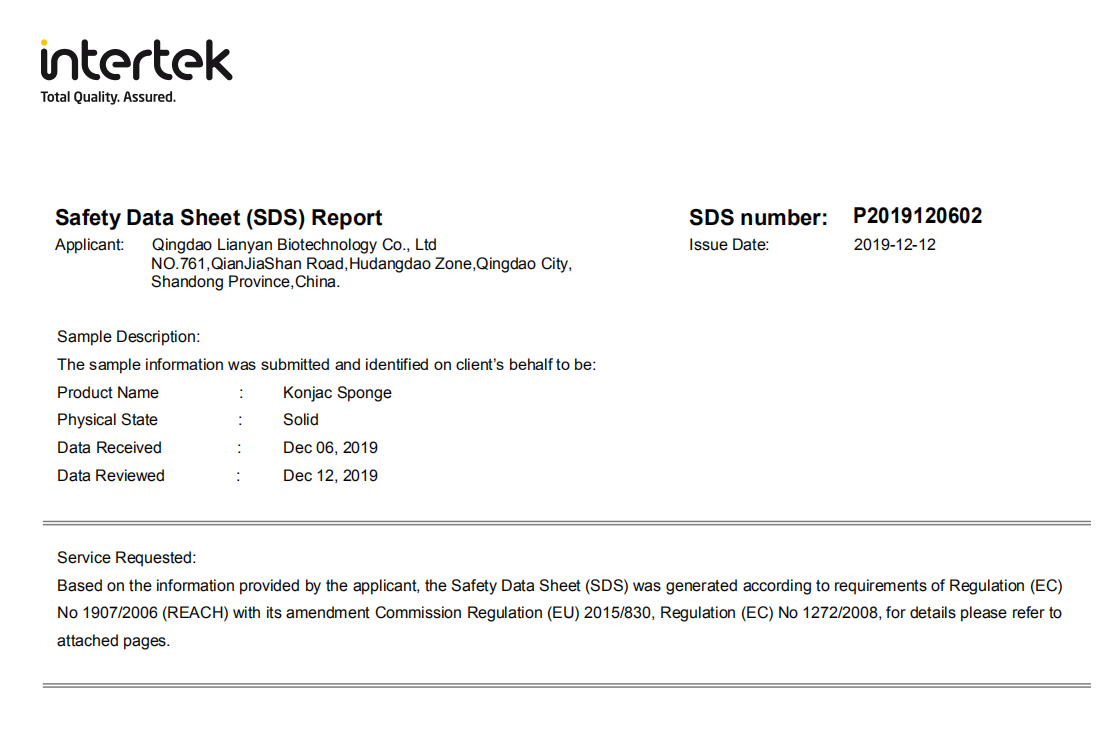 Report