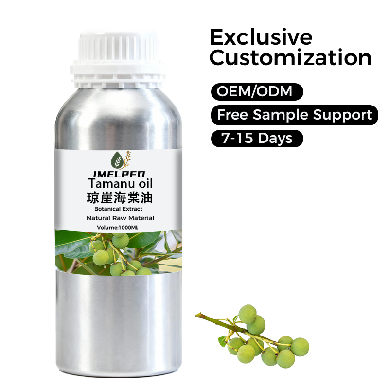 Pure Organic Tamanu Oil Cold Pressed for Cosmetic Grade Natural Skincare Small MOQ Manufacturing Wholesale