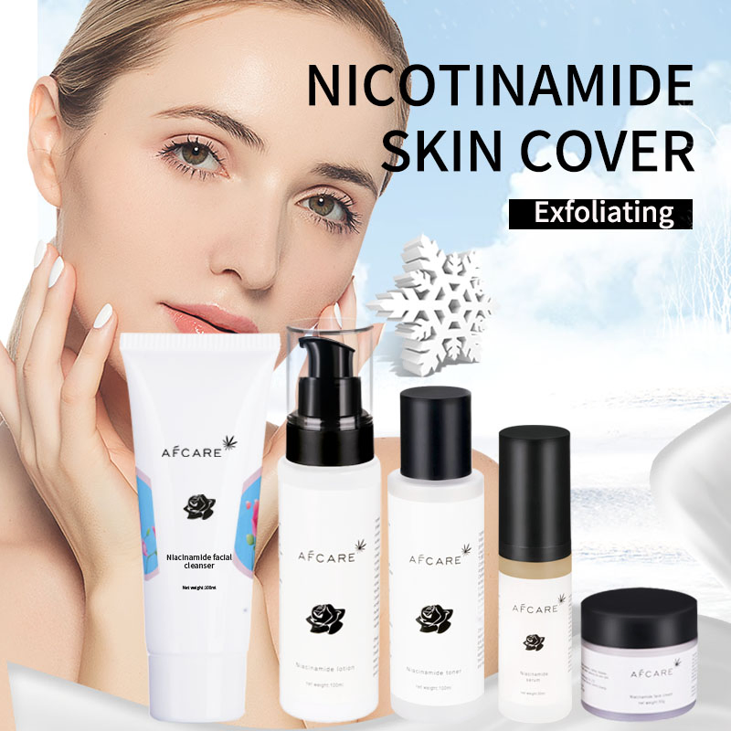 Multi-Functional Skincare OEM ODM/Private Label/Contract Manufacturing Service From Japan Cosmetic Makeup Skincare Set