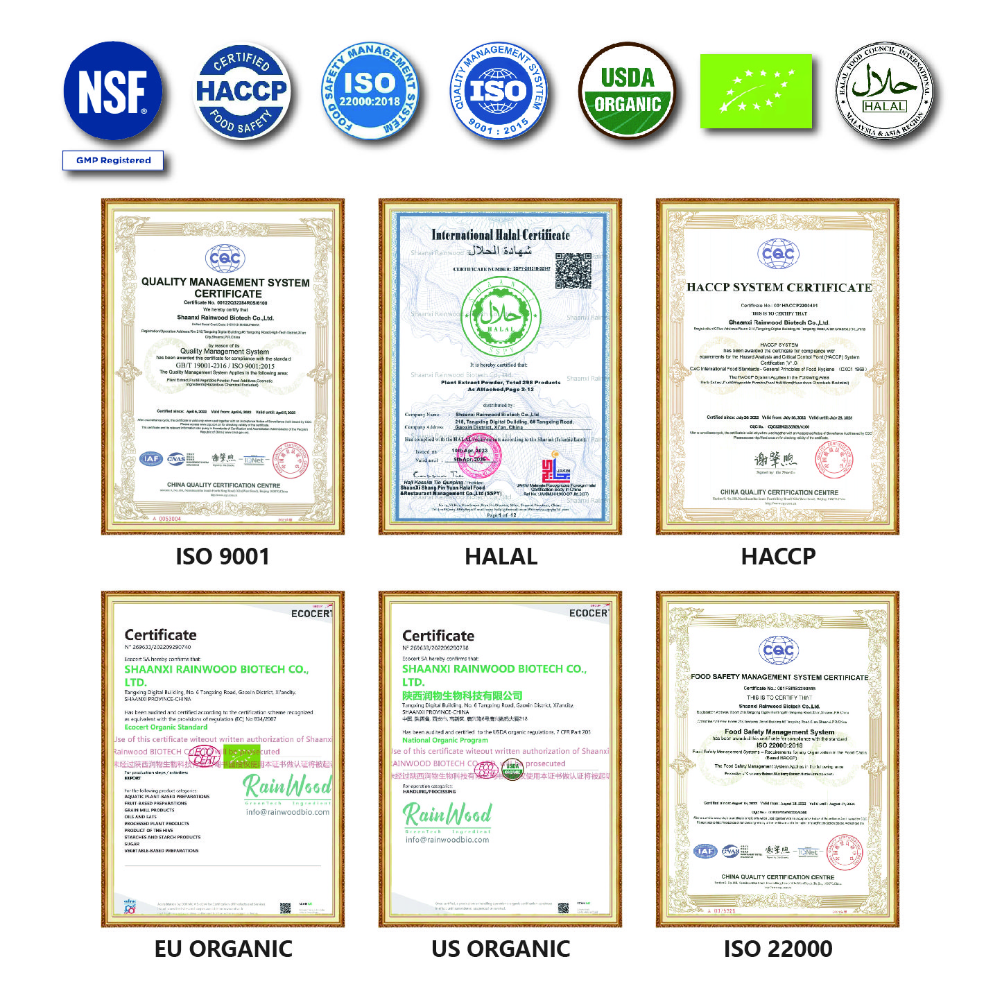 Rainwood Private Label Collagen Beauty Sachets with HA Vitamin C Skin Hydration Support