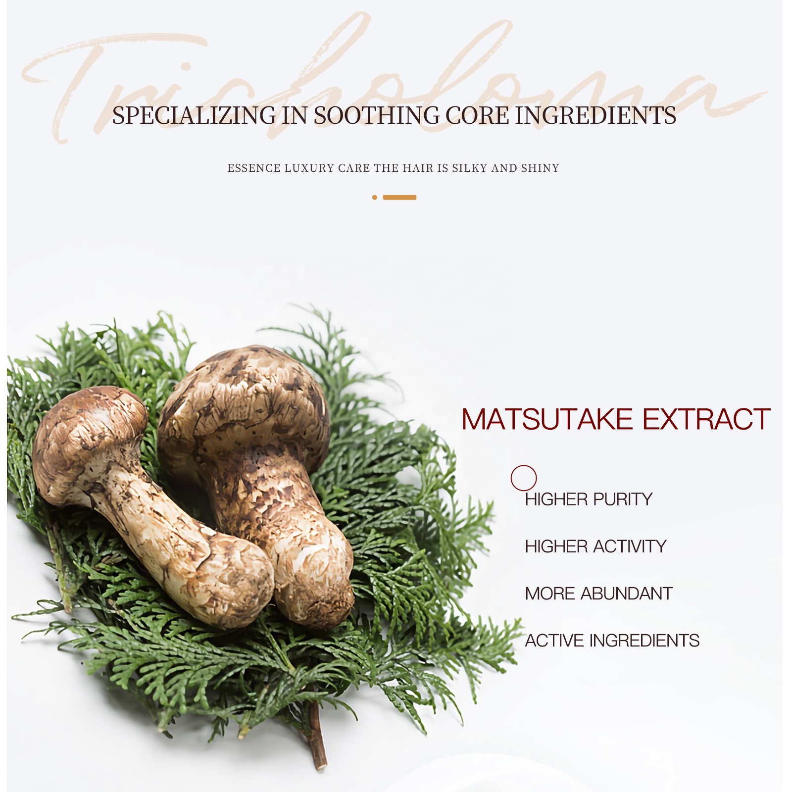 Matsutake 7-Piece Vegan Skin Care Set Hydrating &amp; Soothing Moisturizer Complete Face Anti-Aging Care Featuring Armillaria