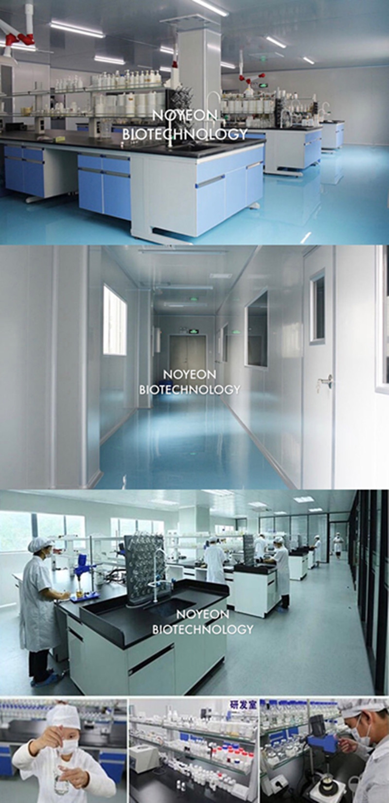 Company Profile Details