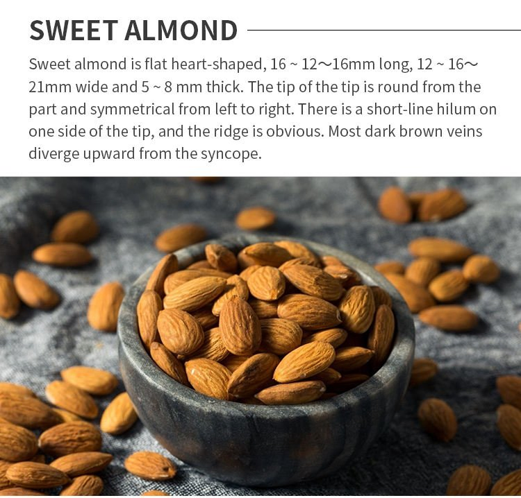 Factory Bulk Organic Sweet Almond Oil 100% Pure Factory Bulk for Baby Massage Skin Care Sensitive Skin