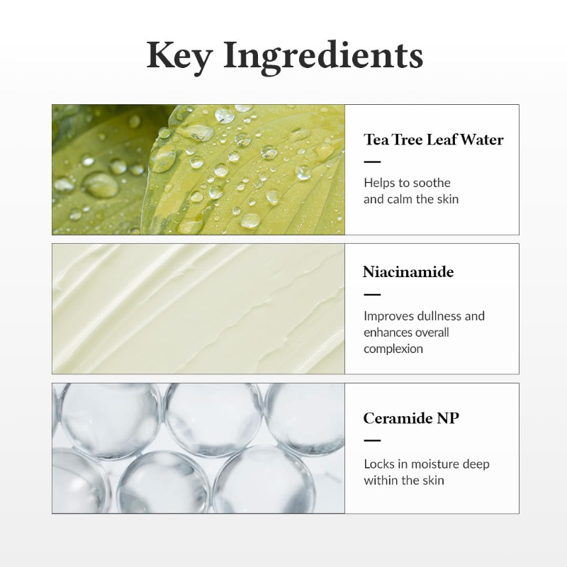 Wholesale High Quality Organic Vegan Face Moisturizer Cream Anti-Aging Hyaluronic Acid Brightens Skin Black Spot Removal