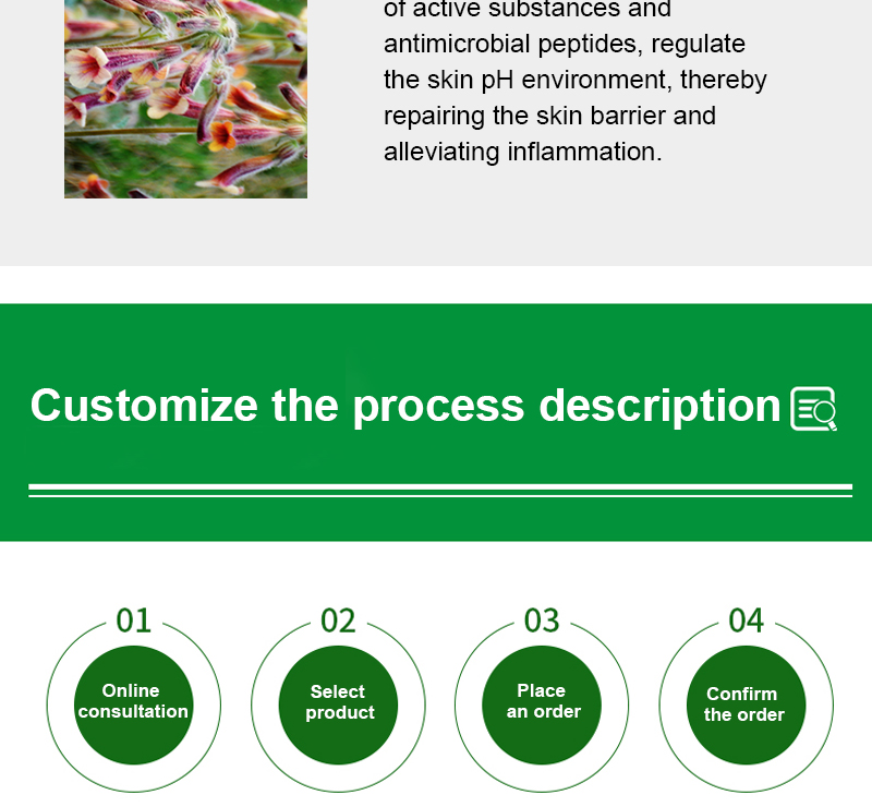 REHMANNIA CHINENSIS Root Plant Extract