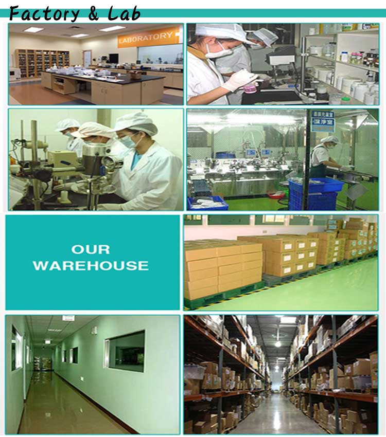 Production Process