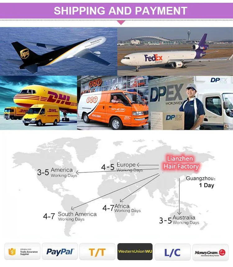 التغليف والشحن