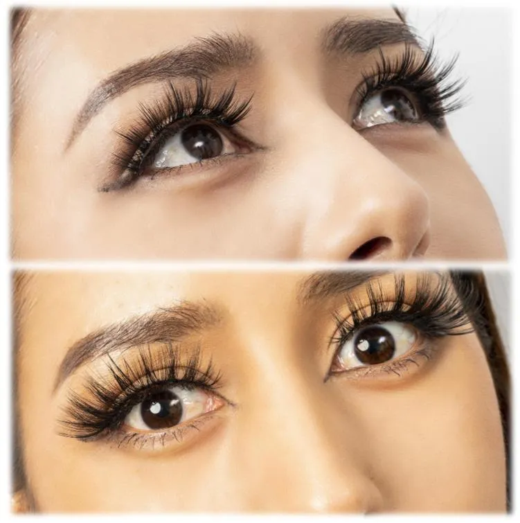 عينة مجانية 3D رموش صناعية نباتية 15mm مع علب علامة خاصة، شريط قطن أسود