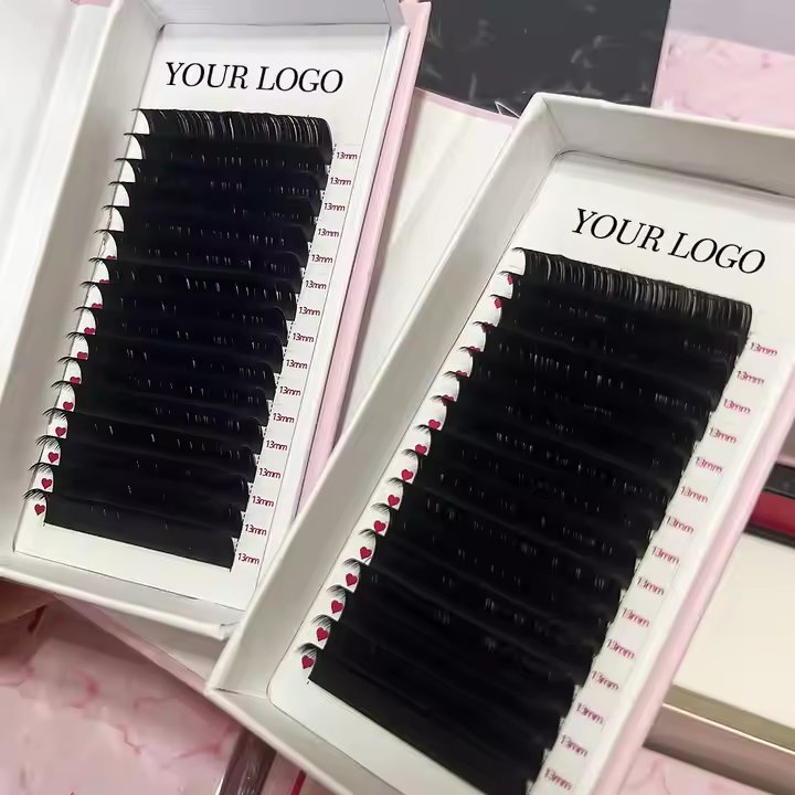 أدوات الجملة لعلامة خاصة trays رموش مكسوة بالحرير الأسود غير اللامع حجم الرموش Cc CD Dd أسود داكن رموش كشمير