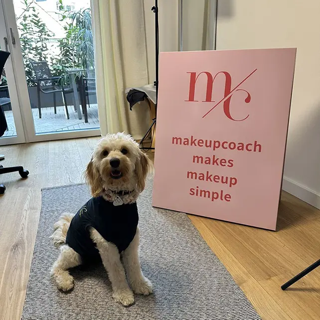 Dog Signboard Application