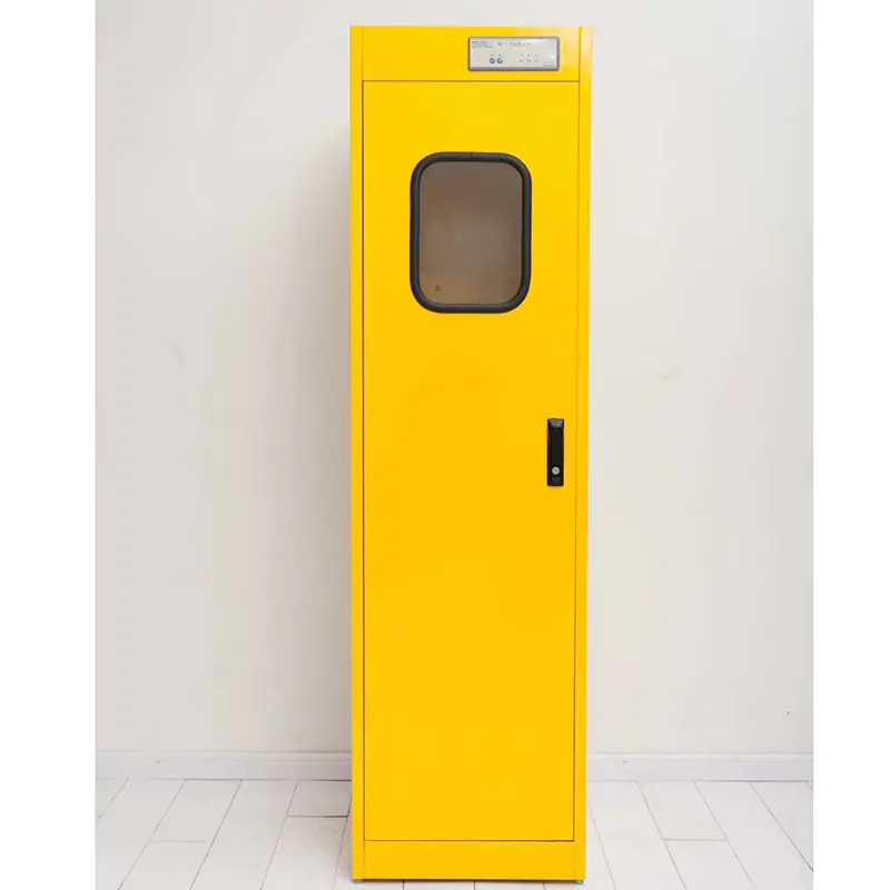 Gas bottle cabinet double door with glass